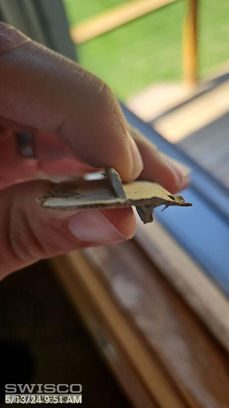 sill seal