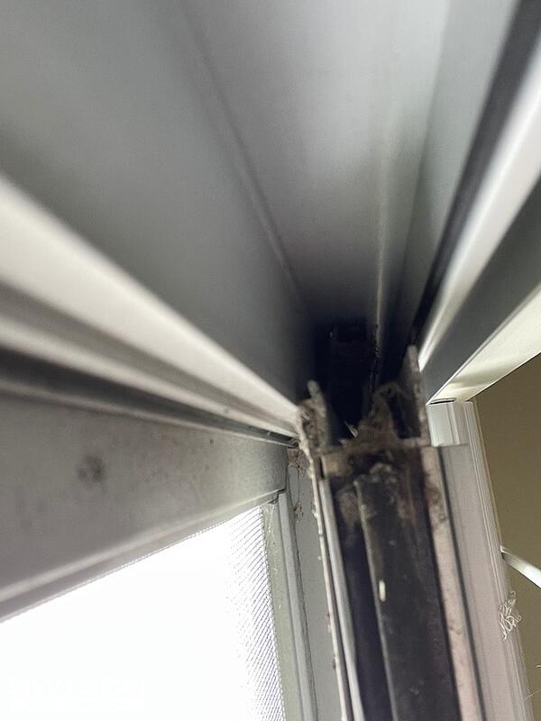IMG_1309