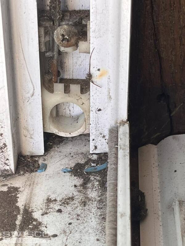 Image-2