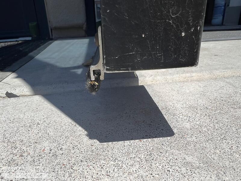 Door sweep