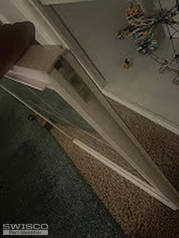 IMG_2904 (1)