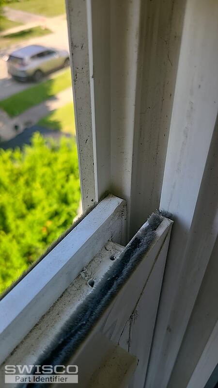 IMG-20240603-WA0076