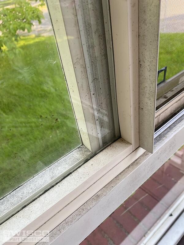 Sun Porch window glazing