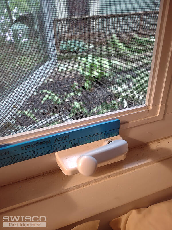 window2