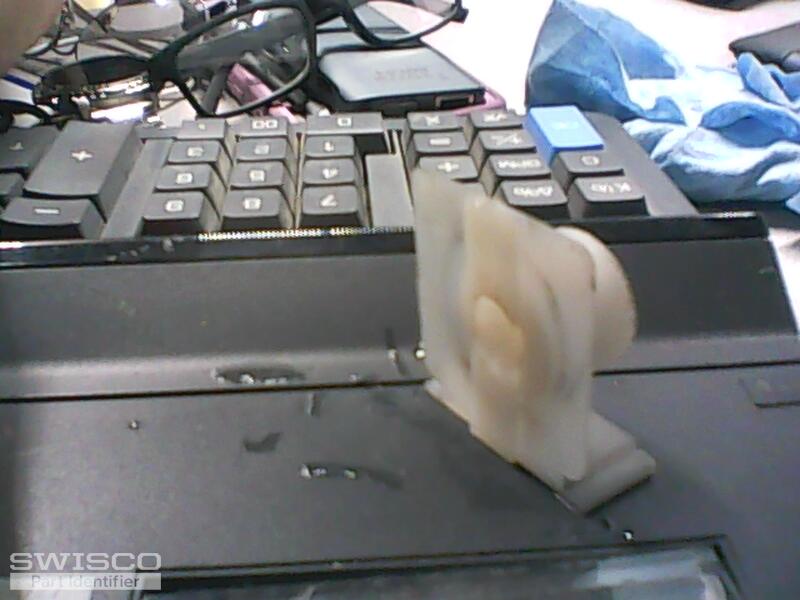 webcam-7/10/2024, 9:19:20 PM