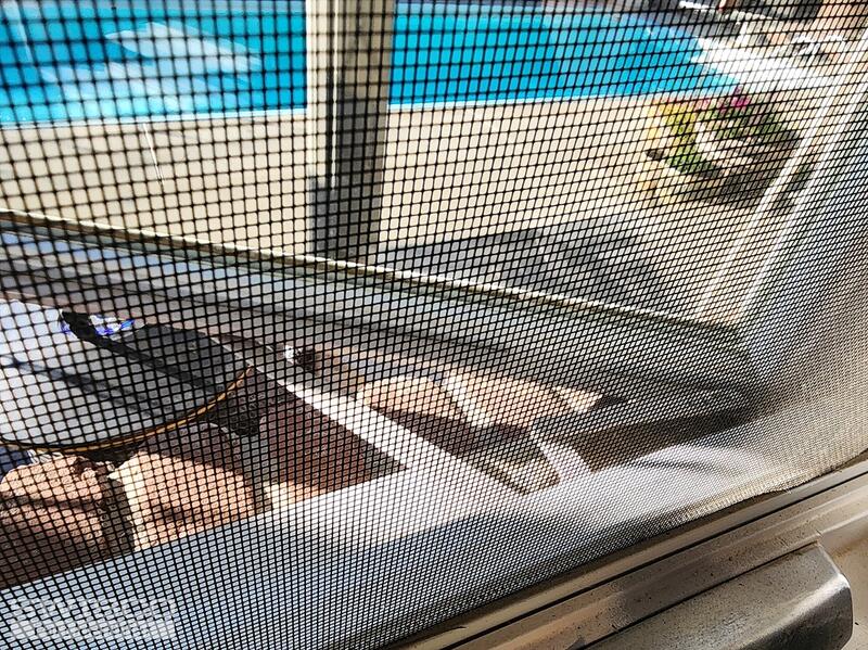 window