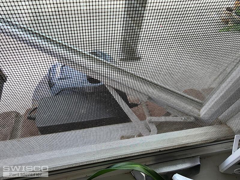 window3