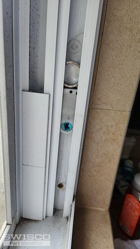 pivot shoe blue cam