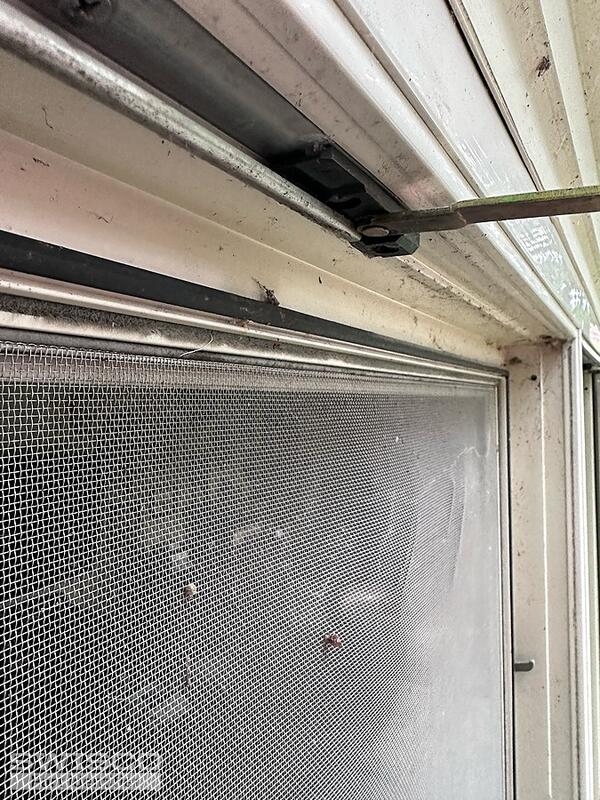 image3 (20)