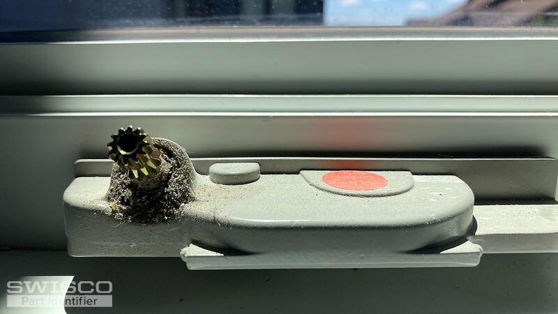 elevate