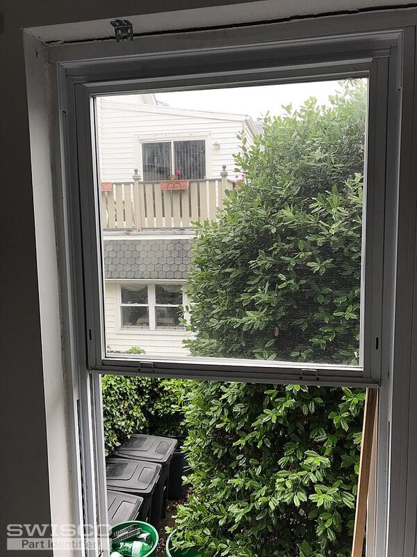 window