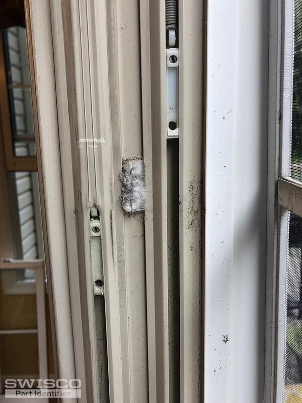 window5