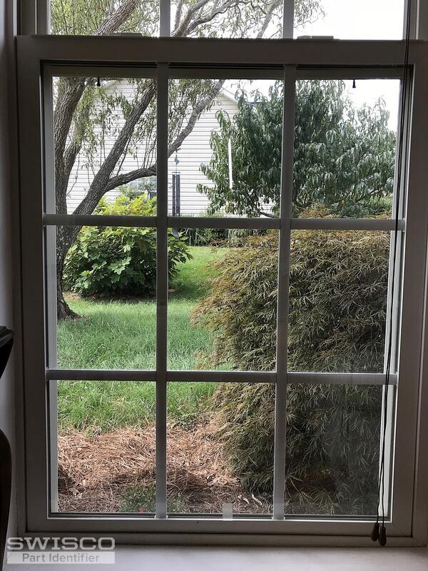 Window