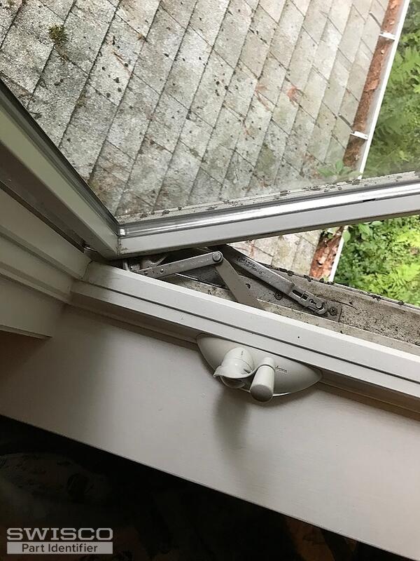 image1 (1)