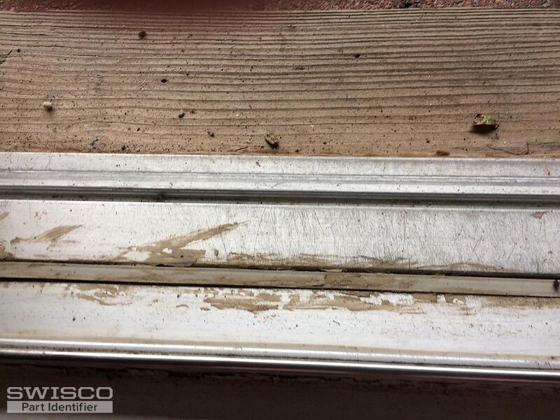 IMG_1608