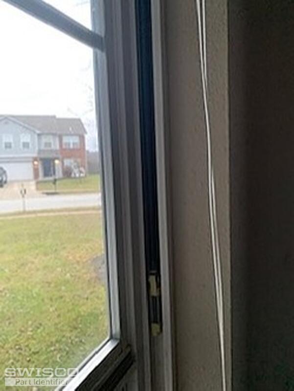 window2
