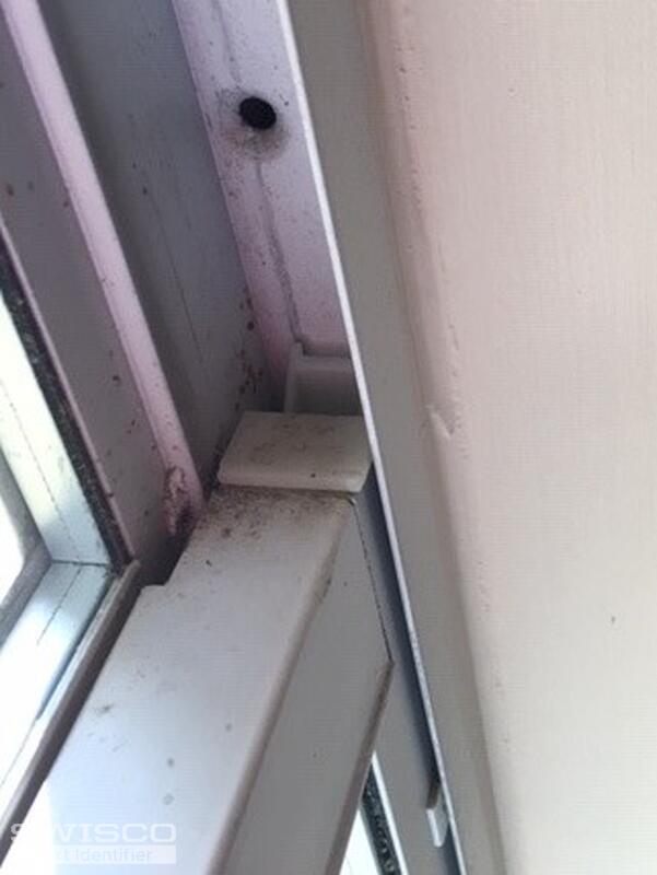 Window with top intact