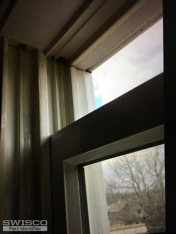 IMG-4682