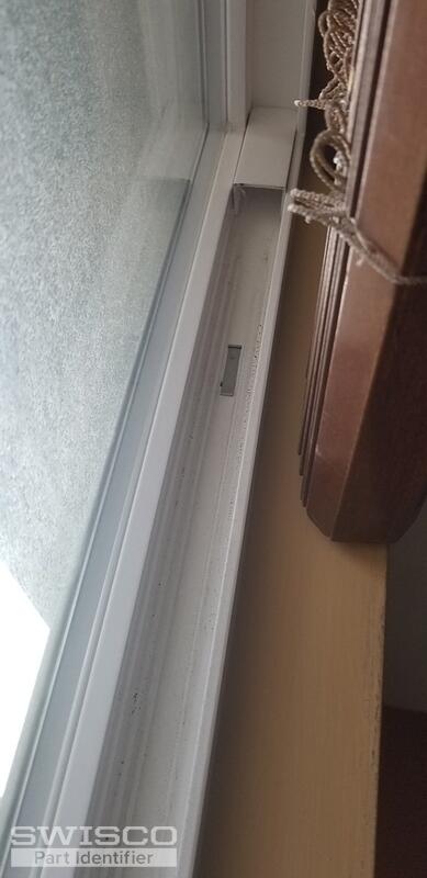 20190221_081539