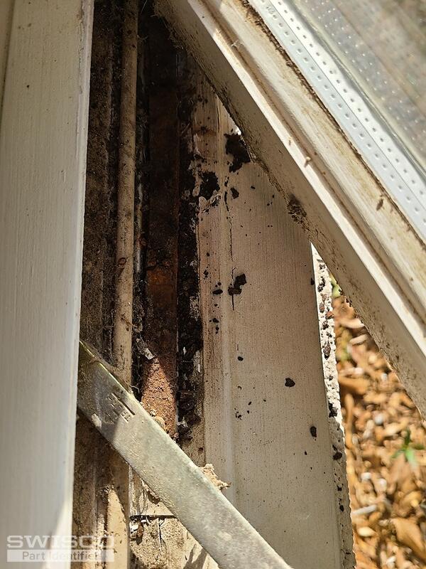 Window3