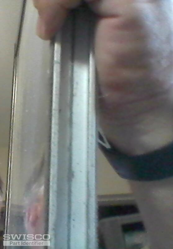 webcam-8/7/2024, 4:29:38 PM