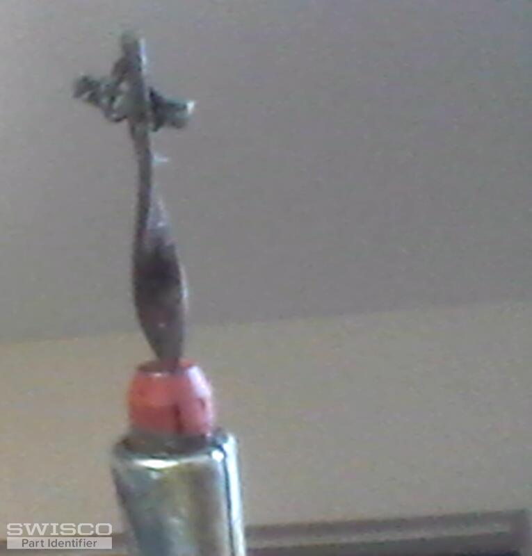 webcam-8/7/2024, 4:31:35 PM