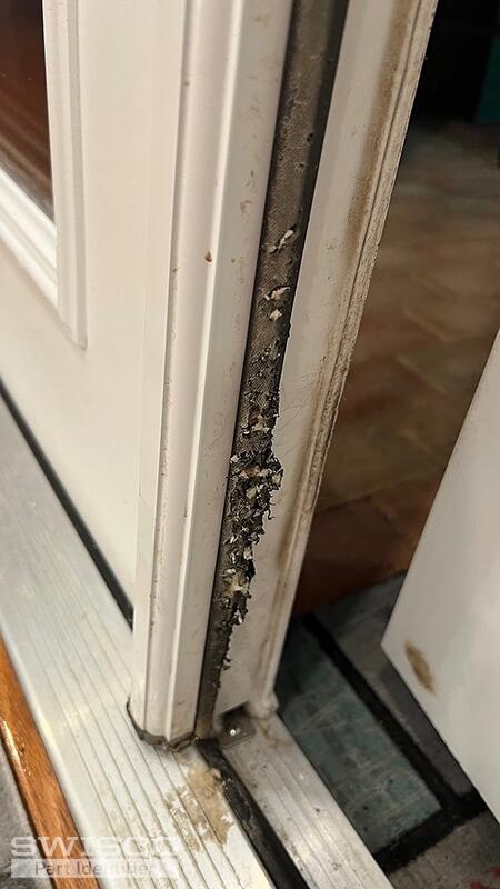 worn weatherstrip