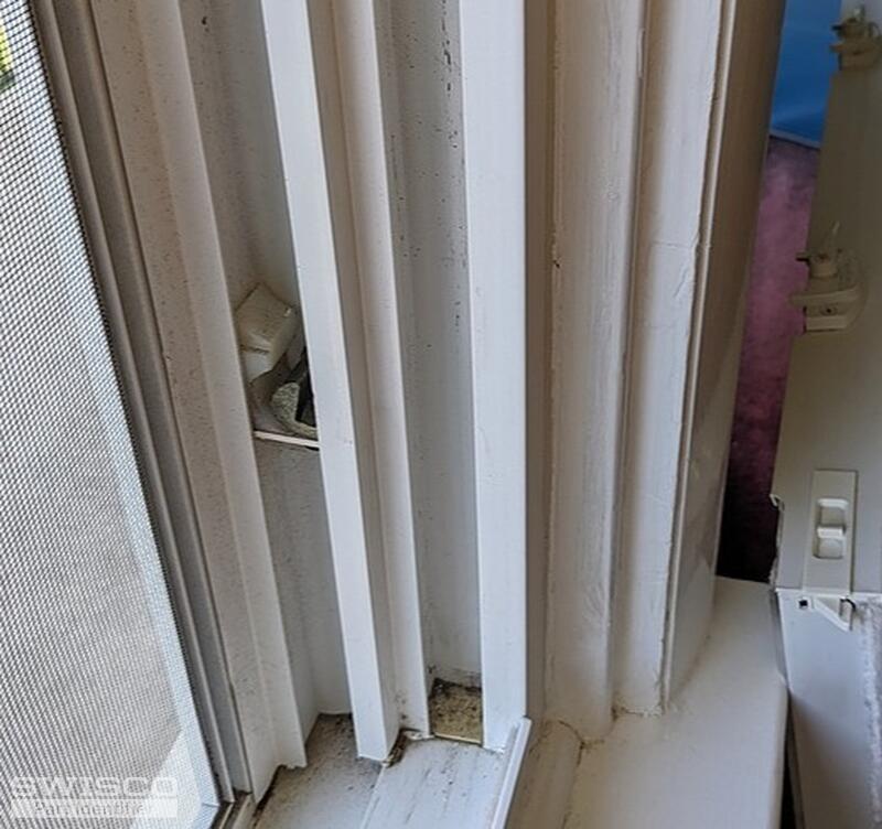 PXL_20240415_154819366