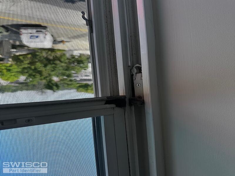 coil clip