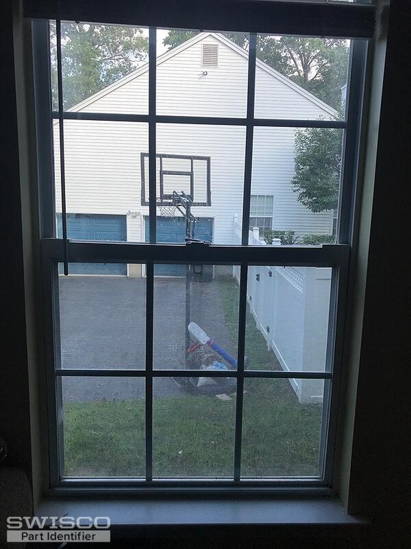 Window