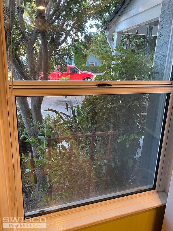 window