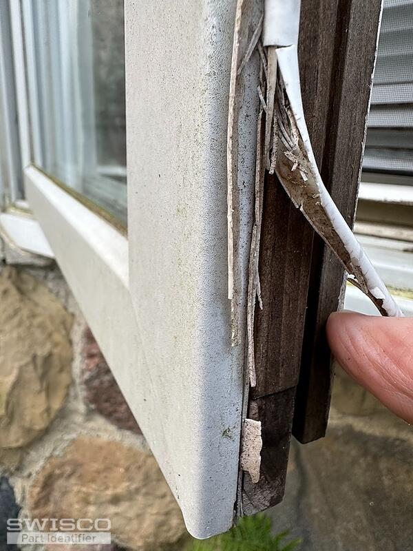 window cushion