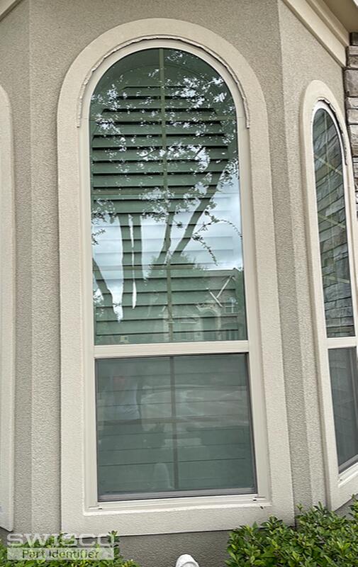 IMG_6551