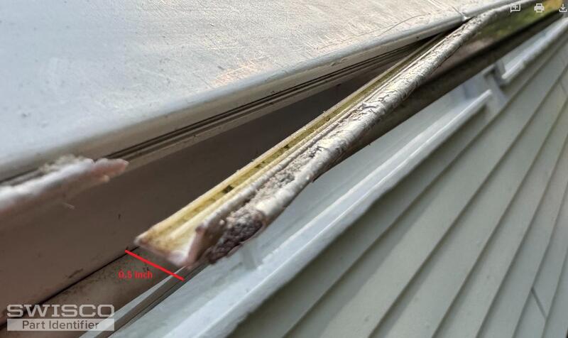 window1