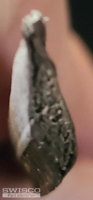 20241010_131225