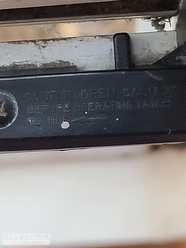 20241011_174809
