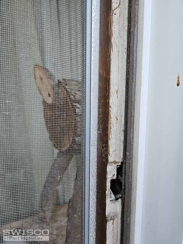window