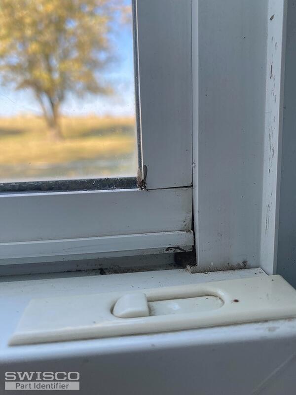 window