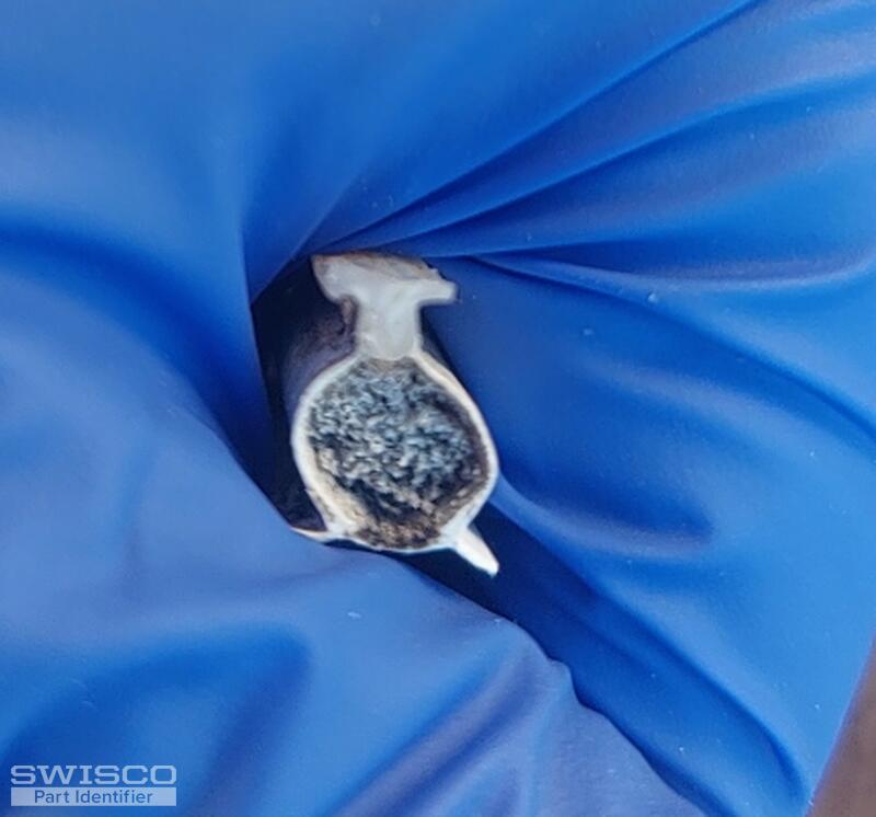 Bubble Seal - 1