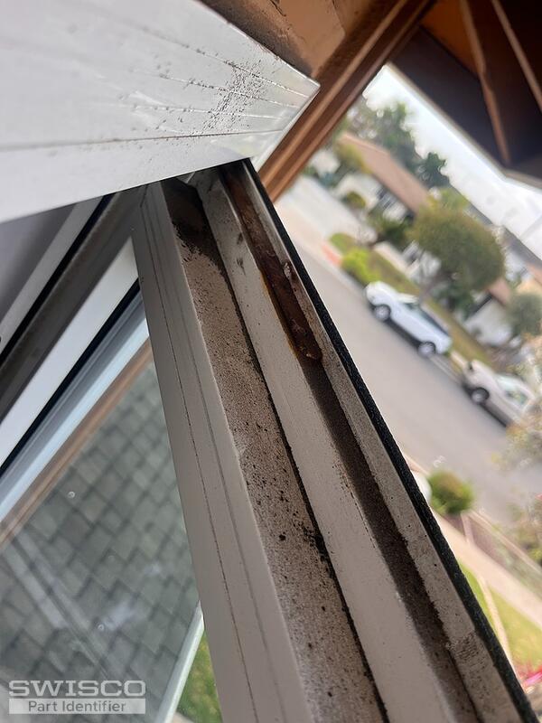 Window 1IMG_6534