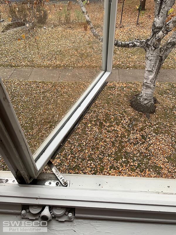 IMG_4749