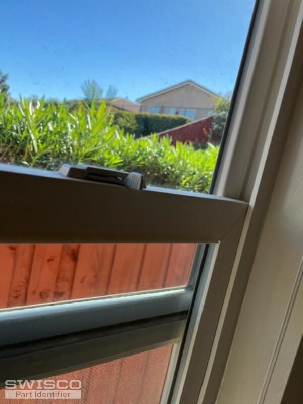 Window 4