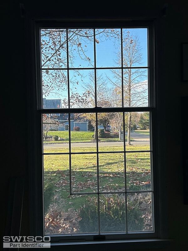 image0 (3)
