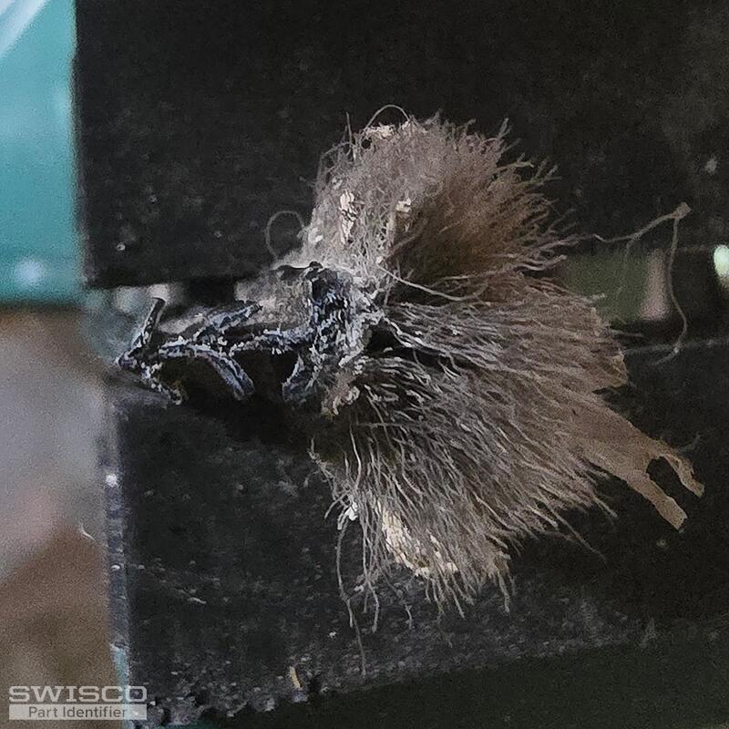 20250126_141744
