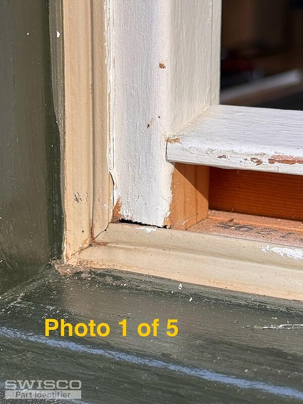 IMG_2533