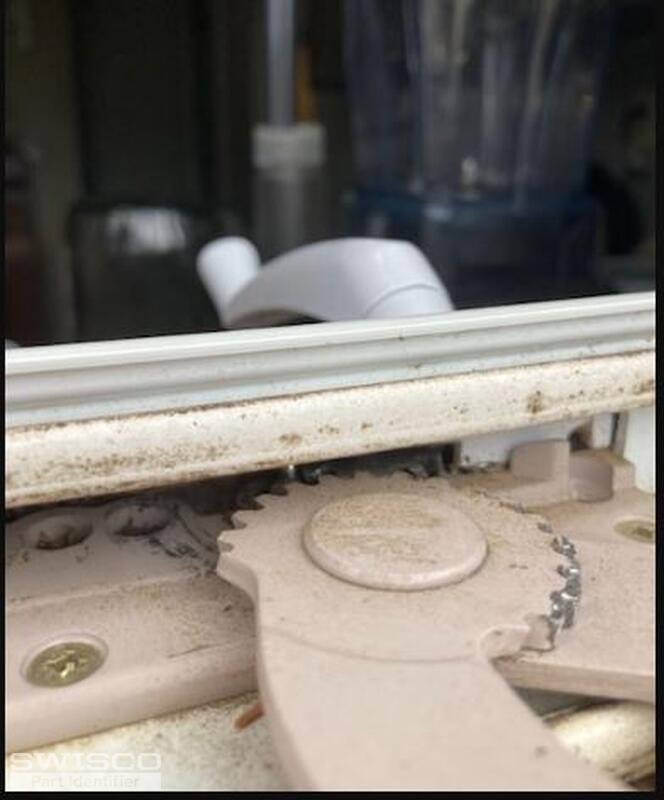 Window4