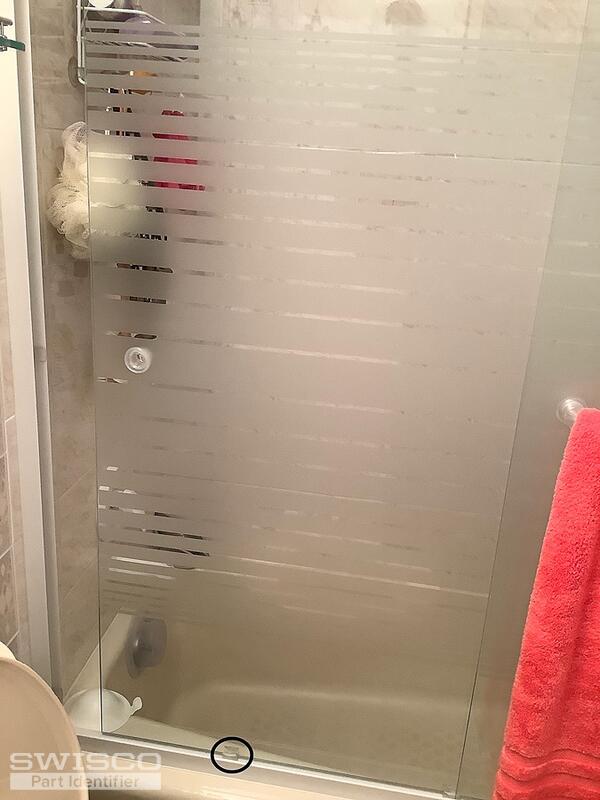 Shower door