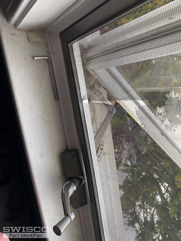 Window 1