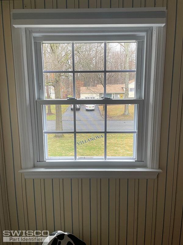 Survivor Window
