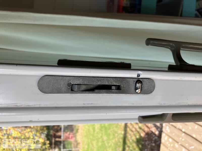 IMG_5562